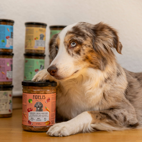 6 x gekochtes Frische-Men Schwein mit Buchweizen, Krbis und Blaubeer   Sanadog