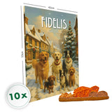 10 x Advent Calendar for dogs 