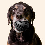 Pupsicle 'Power Chewer' (schwarz, Größe XL)