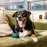 Pupsicle (grün, Größe L)