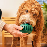 Pupsicle (grün, Größe S)