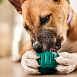 Pupsicle (grün, Größe XL)