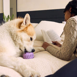 Pupsicle (lavendel, Größe L)