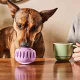 Pupsicle (lavendel, Größe S)