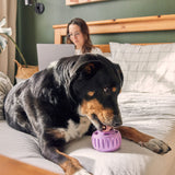 Pupsicle (lavendel, Größe XL)